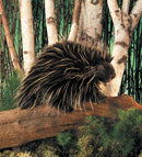 Folkmanis Porcupine Puppet