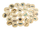 Sea Life Magnets - 28 Pcs