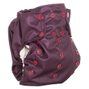 Smart Bottoms Smart One 3.1 One Size All-In-One