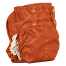 Smart Bottoms Smart One 3.1 One Size All-In-One