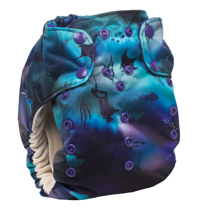 Smart Bottoms Dream Diaper 2.0