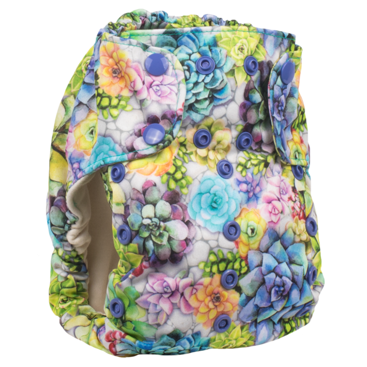Smart Bottoms Dream Diaper 2.0