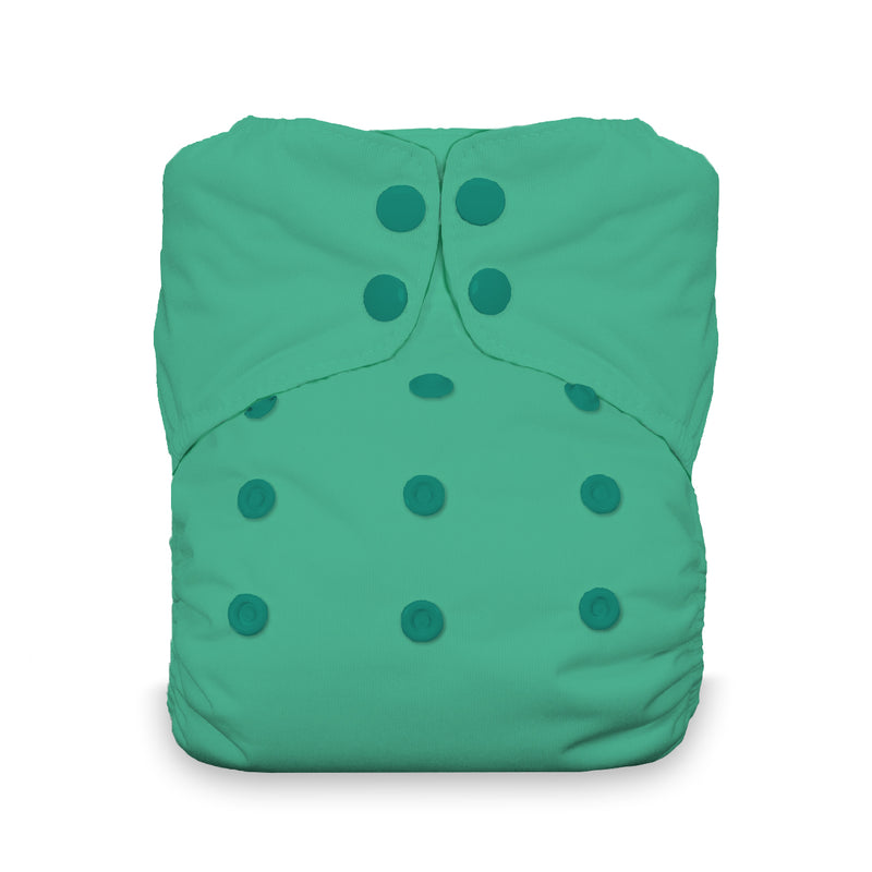Thirsties Stay Dry Natural One Size All In One