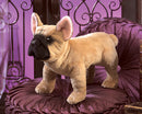 Folkmanis French Bulldog Puppet