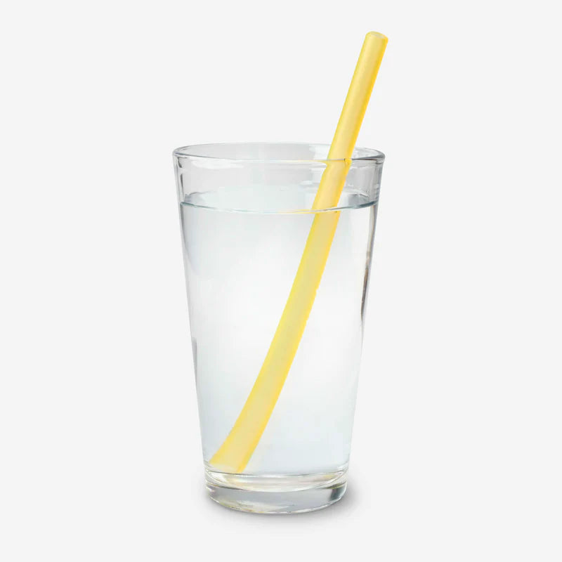 Gosili Single Reusable Straws