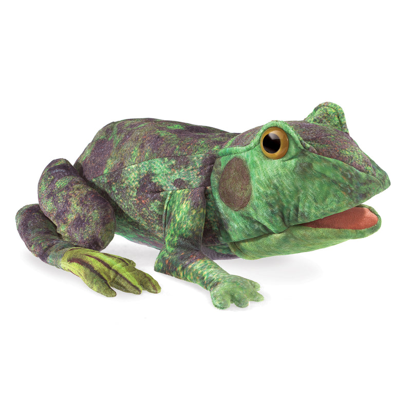 Folkmanis Frog Life Cycle Puppet