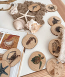 Sea Life Magnets - 28 Pcs