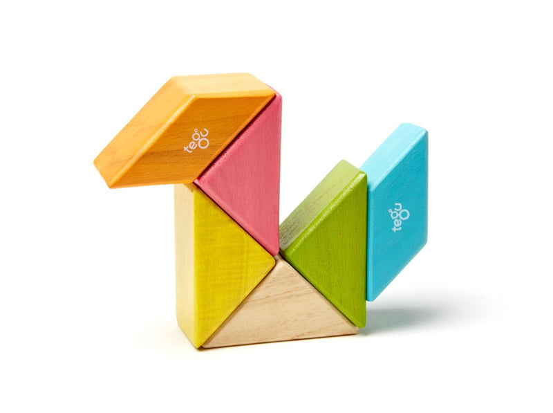 Tegu Pocket Pouch Prism, 6 pieces