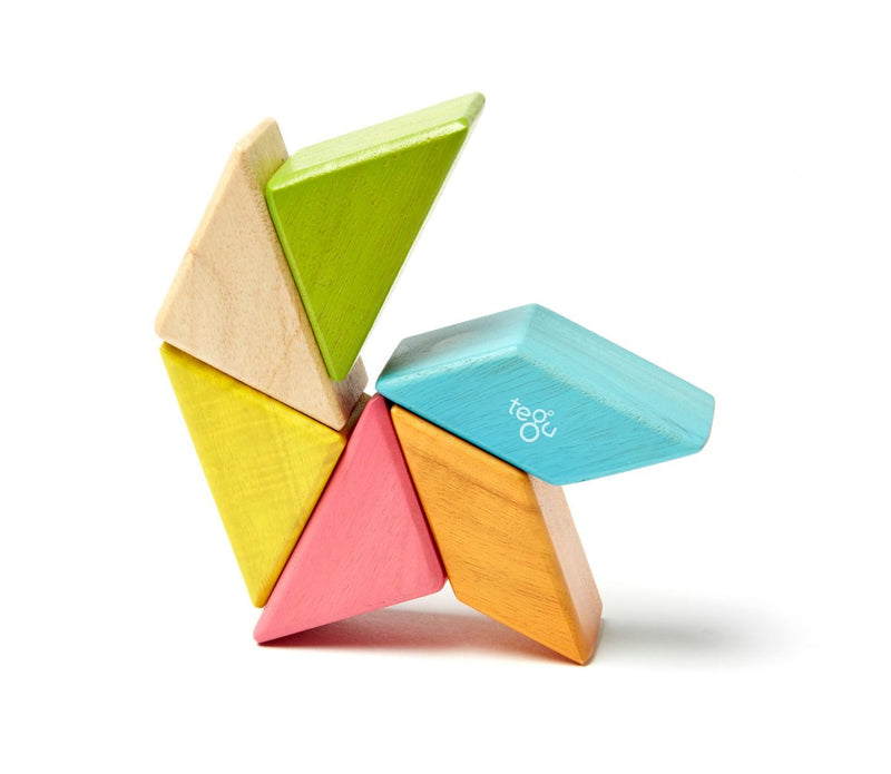Tegu Pocket Pouch Prism, 6 pieces