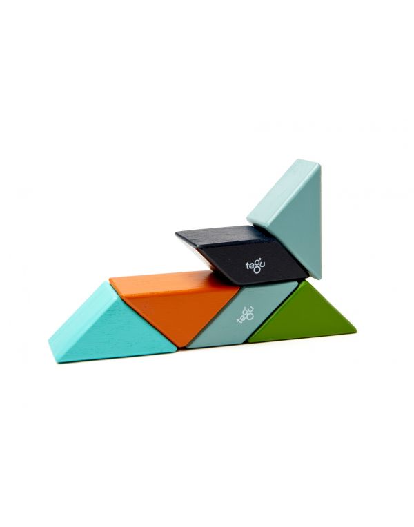 Tegu Pocket Pouch Prism, 6 pieces