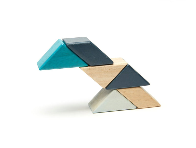 Tegu Pocket Pouch Prism, 6 pieces