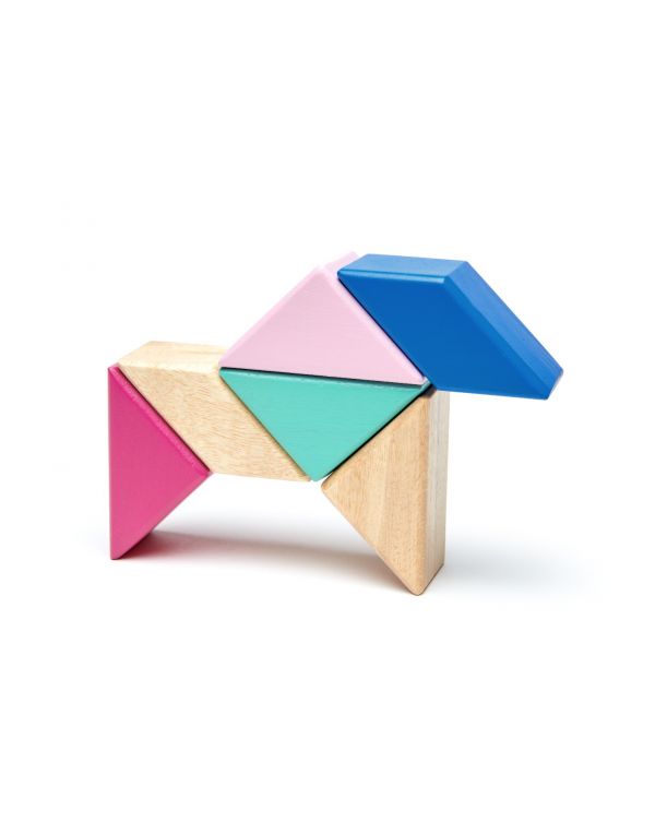 Tegu Pocket Pouch Prism, 6 pieces