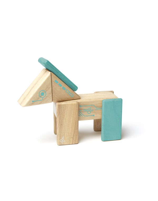 Tegu Future, Robo