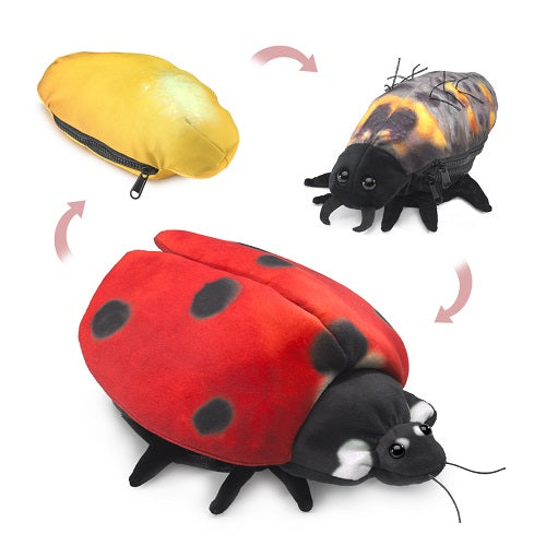 Folkmanis Ladybug Life Cycle Puppet