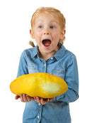 Folkmanis Ladybug Life Cycle Puppet