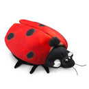 Folkmanis Ladybug Life Cycle Puppet