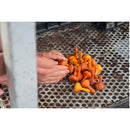 Grapat Wood Mandala Squash